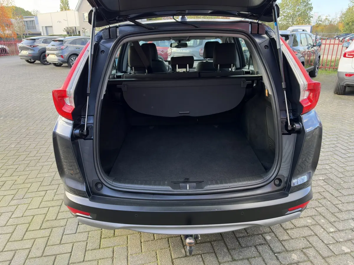 2.0 Hybrid Elegance | Afn. Trekhaak | Camera | Adaptive Cruise Control