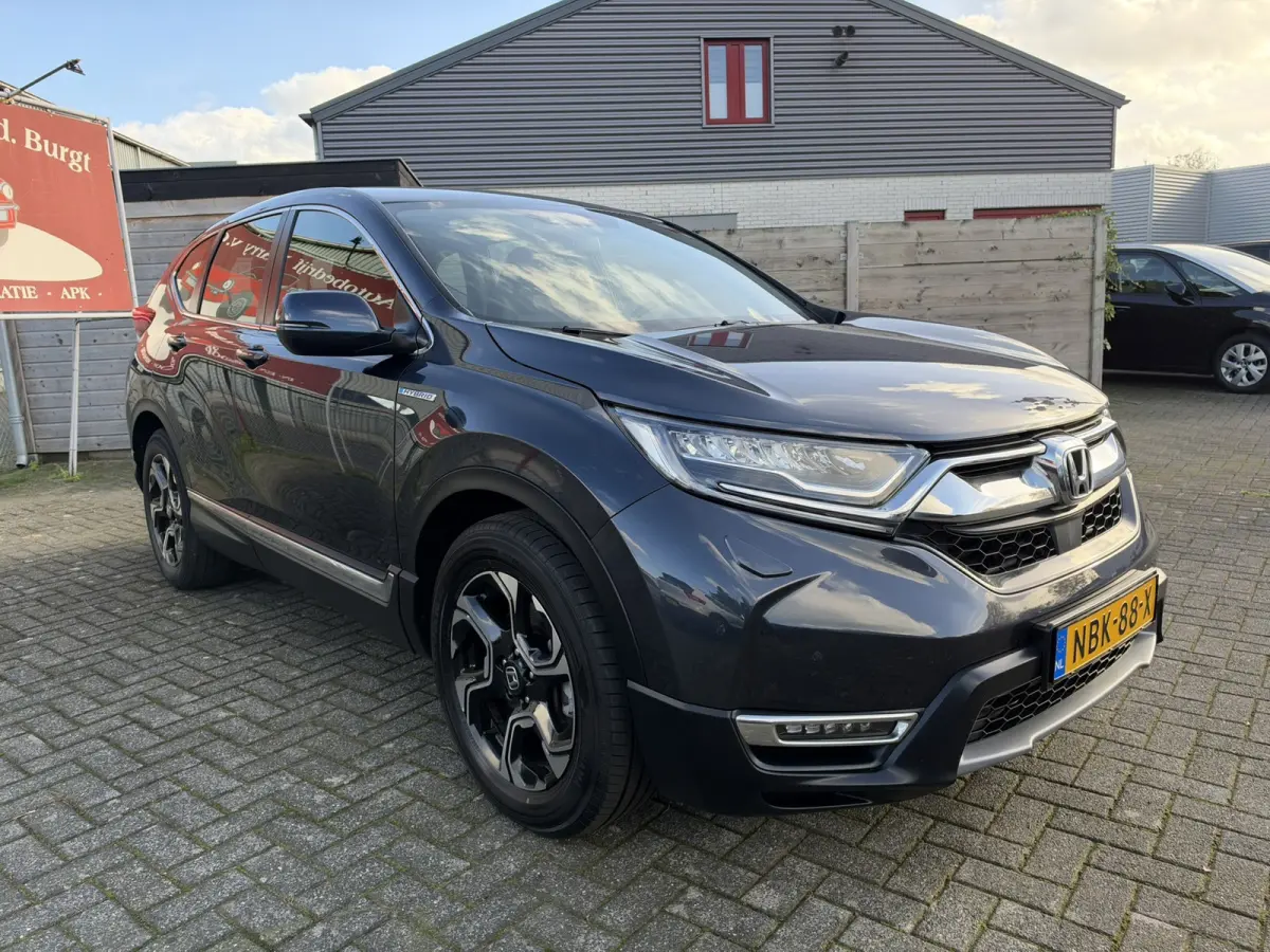 2.0 Hybrid Elegance | Afn. Trekhaak | Camera | Adaptive Cruise Control