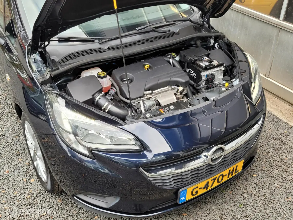 1.0 Turbo 120 Jaar Edition | PDC | CLIMA | CRUISE