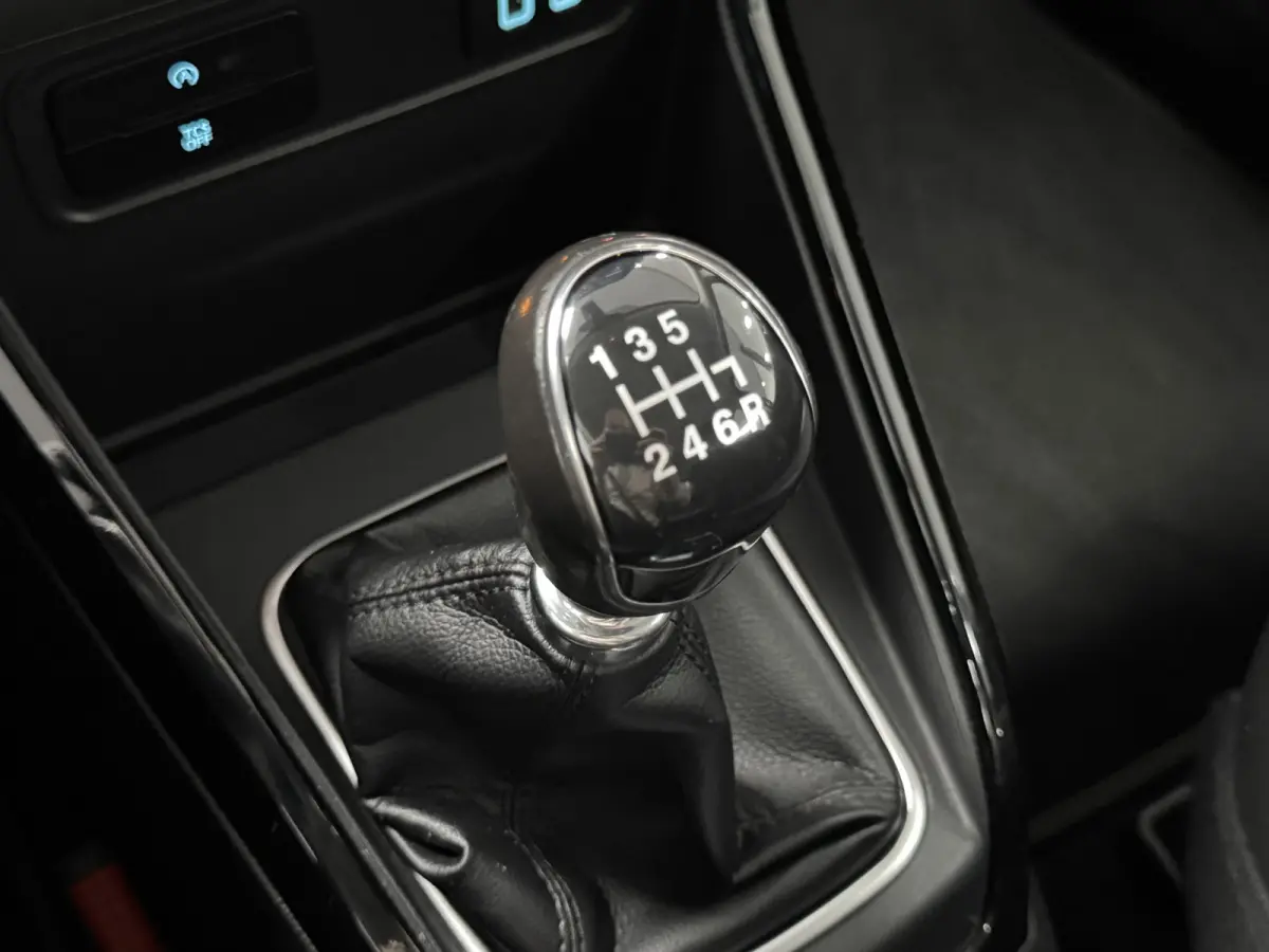 1.0 EcoBoost Titanium Trekhaak Camera Cruise Climate