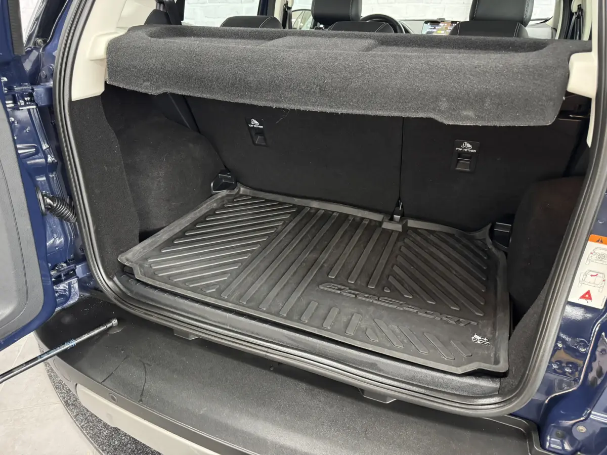 1.0 EcoBoost Titanium Trekhaak Camera Cruise Climate