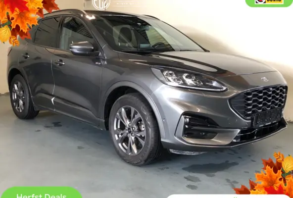 2.5 PHEV ST-Line X - Automaat - Parkeerhulp V+A - Navi - Winterpakket - Elec.klep