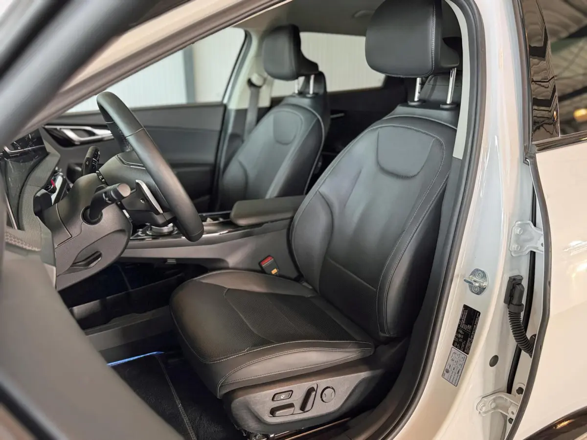 Plus 168kW/77,4 kWh RWD Plus|SoH 95,3%|Meridian Surround|