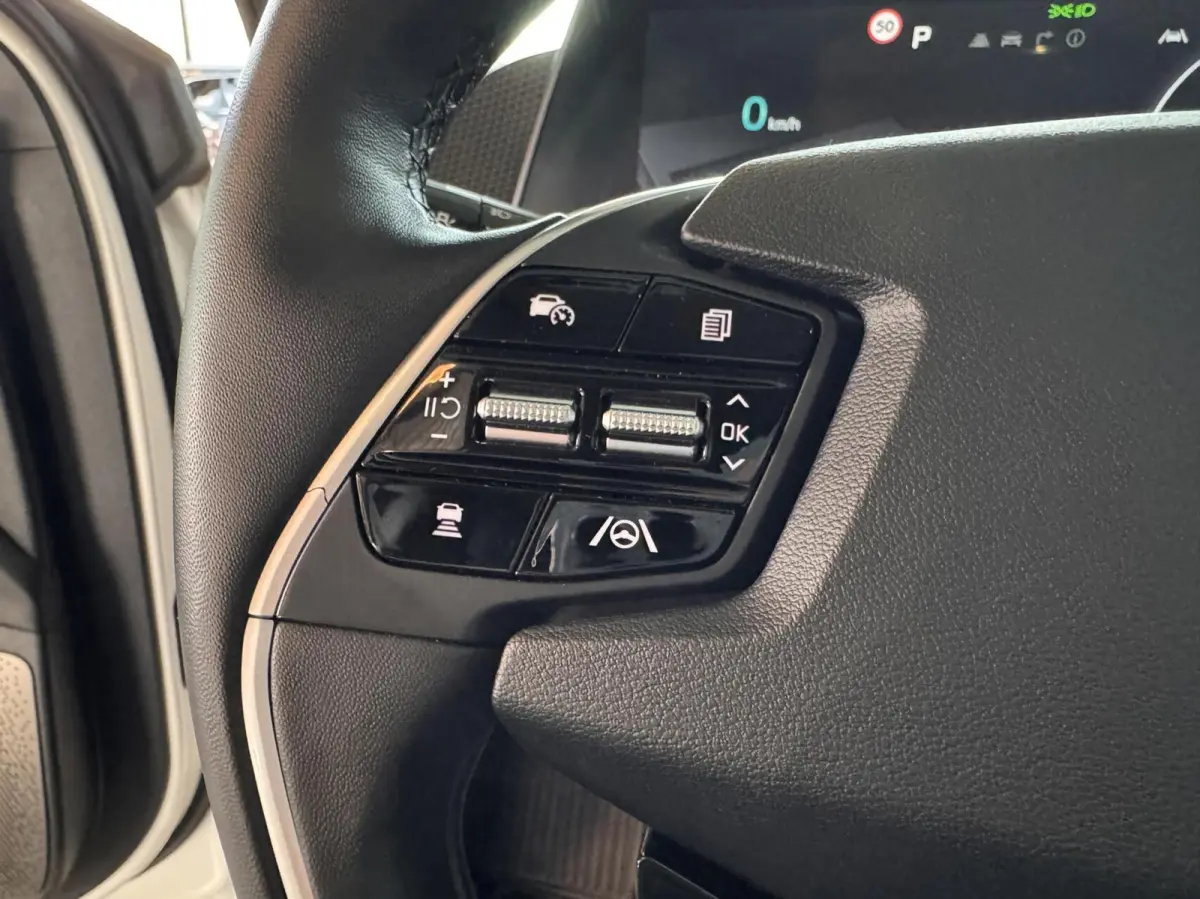 Plus 168kW/77,4 kWh RWD Plus|SoH 95,3%|Meridian Surround|