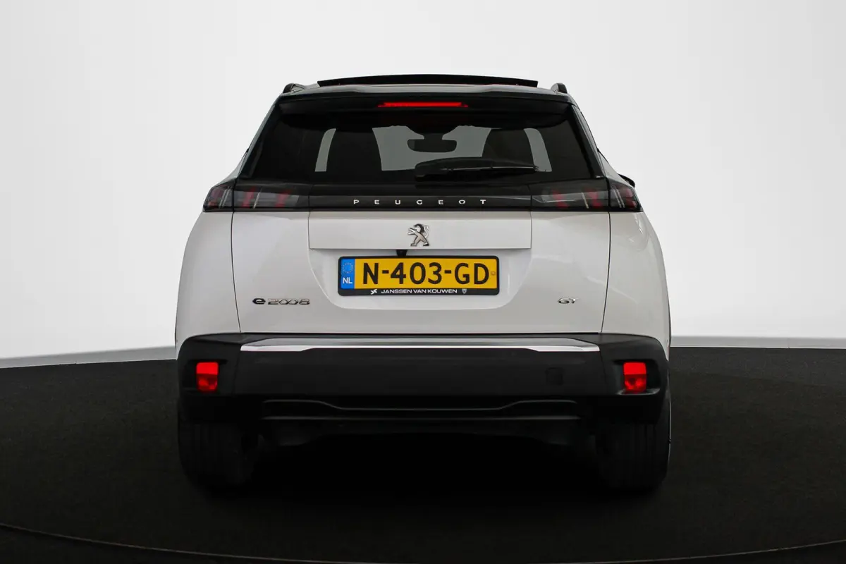 EV GT Pack 50 kWh Pano Stoelverwarming Keyless Camera