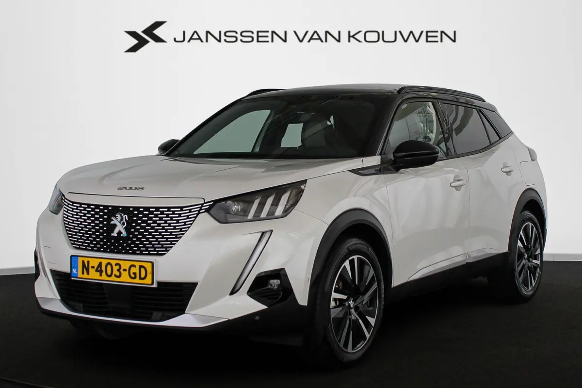 EV GT Pack 50 kWh Pano Stoelverwarming Keyless Camera
