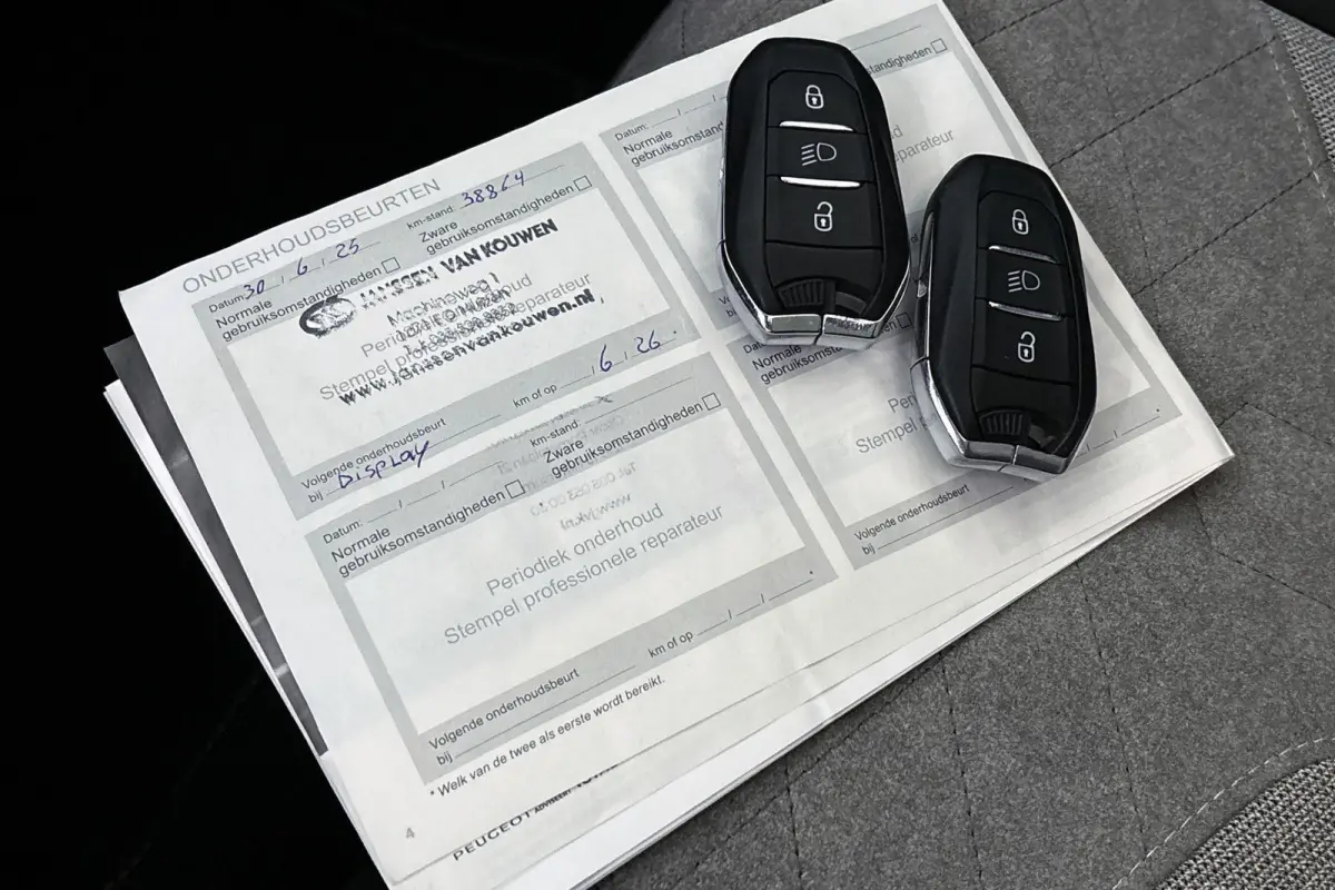 EV GT Pack 50 kWh Pano Stoelverwarming Keyless Camera