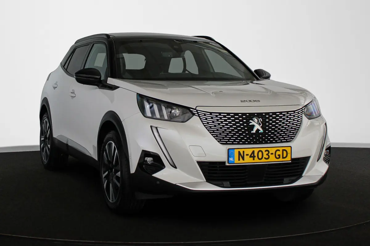 EV GT Pack 50 kWh Pano Stoelverwarming Keyless Camera