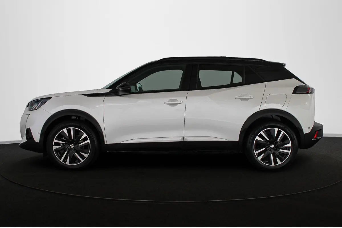 EV GT Pack 50 kWh Pano Stoelverwarming Keyless Camera