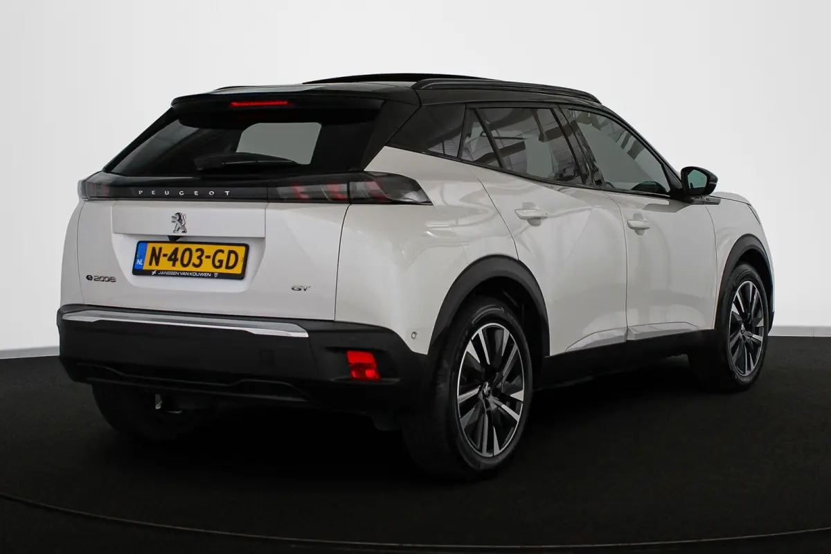 EV GT Pack 50 kWh Pano Stoelverwarming Keyless Camera