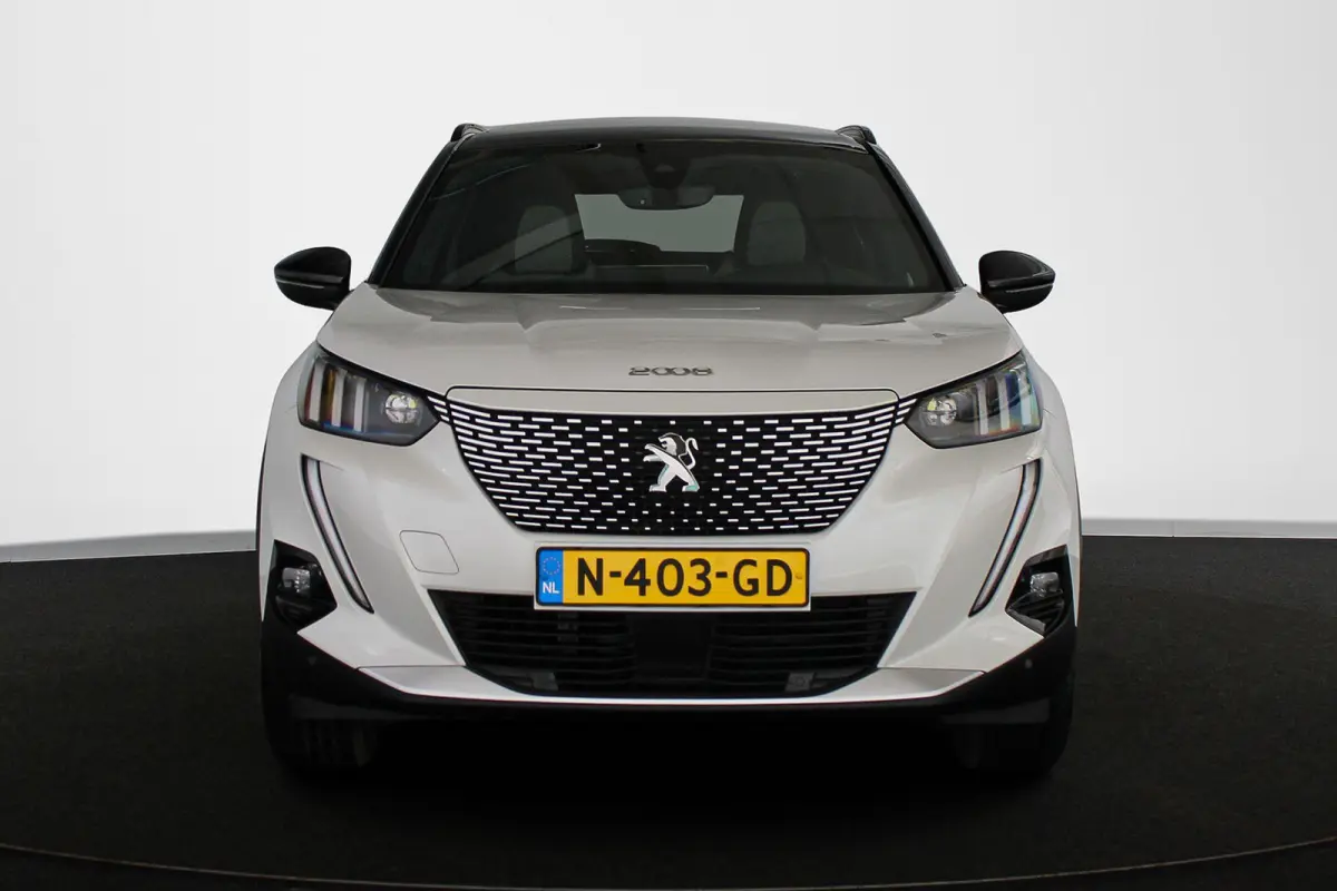 EV GT Pack 50 kWh Pano Stoelverwarming Keyless Camera