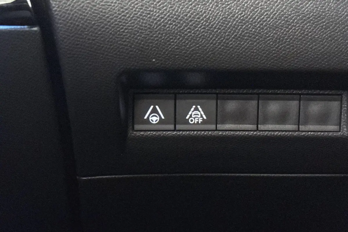 EV GT Pack 50 kWh Pano Stoelverwarming Keyless Camera