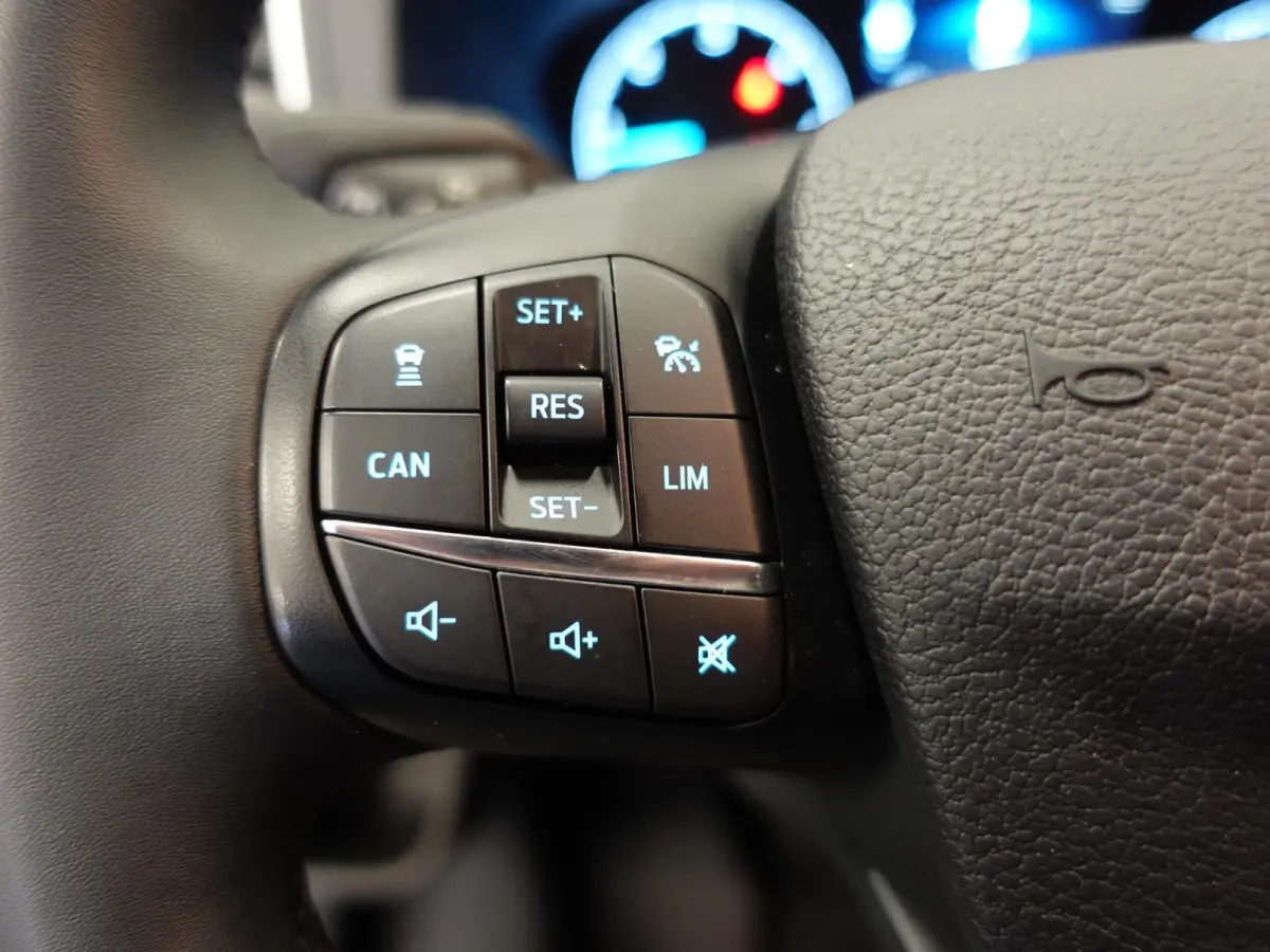 310 2.0 TDCI L2H2 Trend Automaat Airco Navigatie Bluetooth Camera Cruise Control