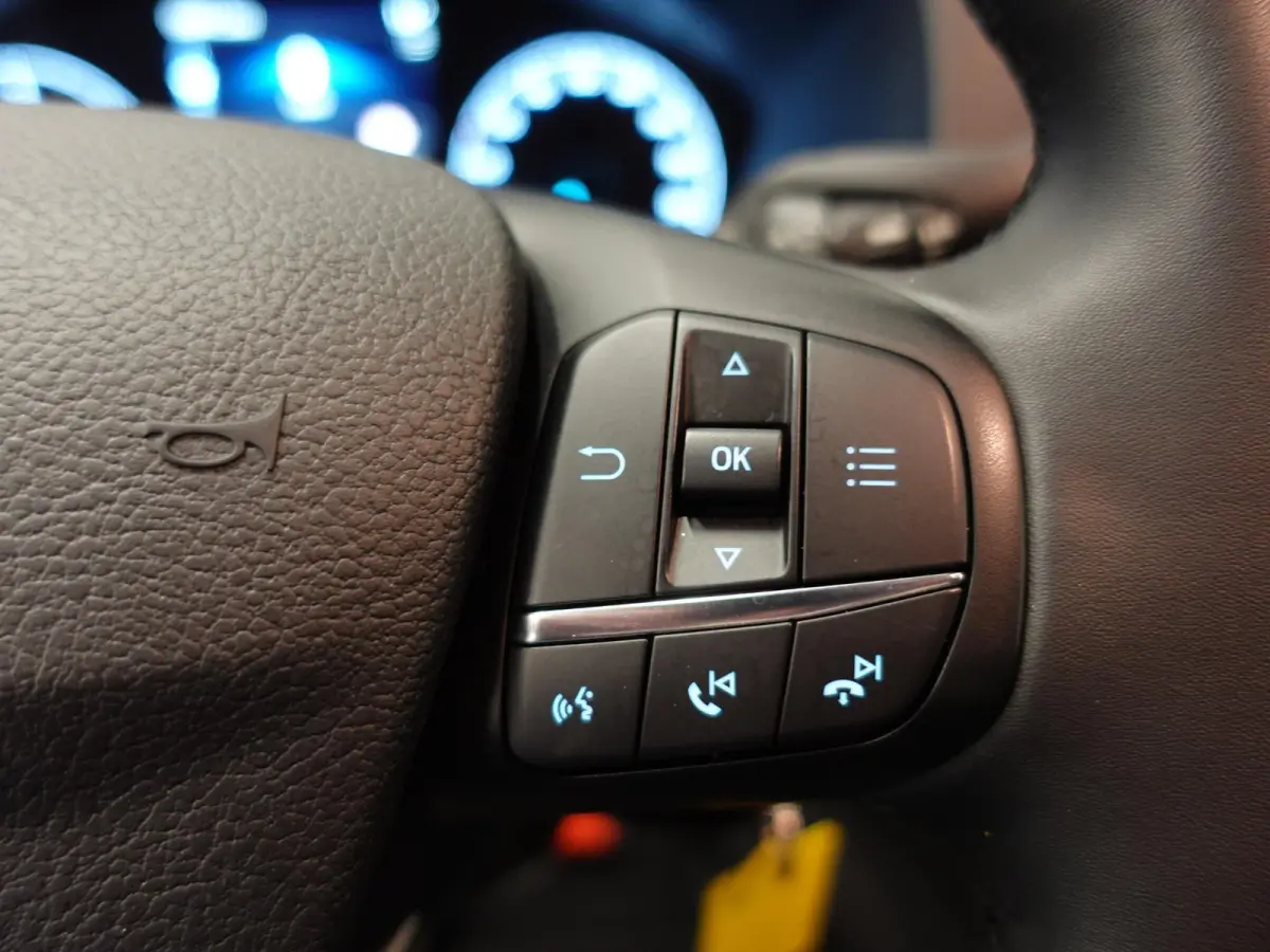 310 2.0 TDCI L2H2 Trend Automaat Airco Navigatie Bluetooth Camera Cruise Control
