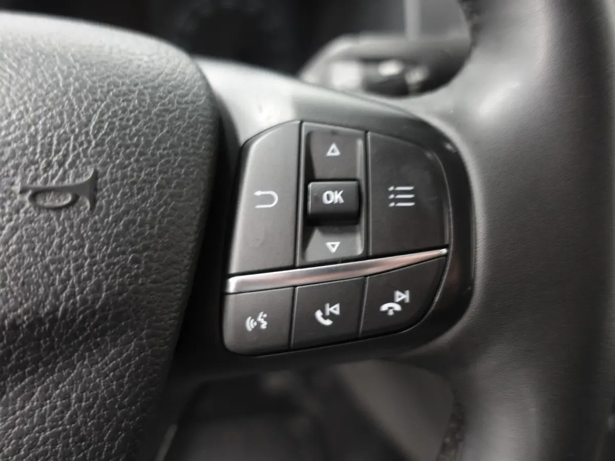 300 2.0 TDCI L2H1 Trend Dubbele Cabine Airco Cruise Control Bluetooth Navi Trekhaak