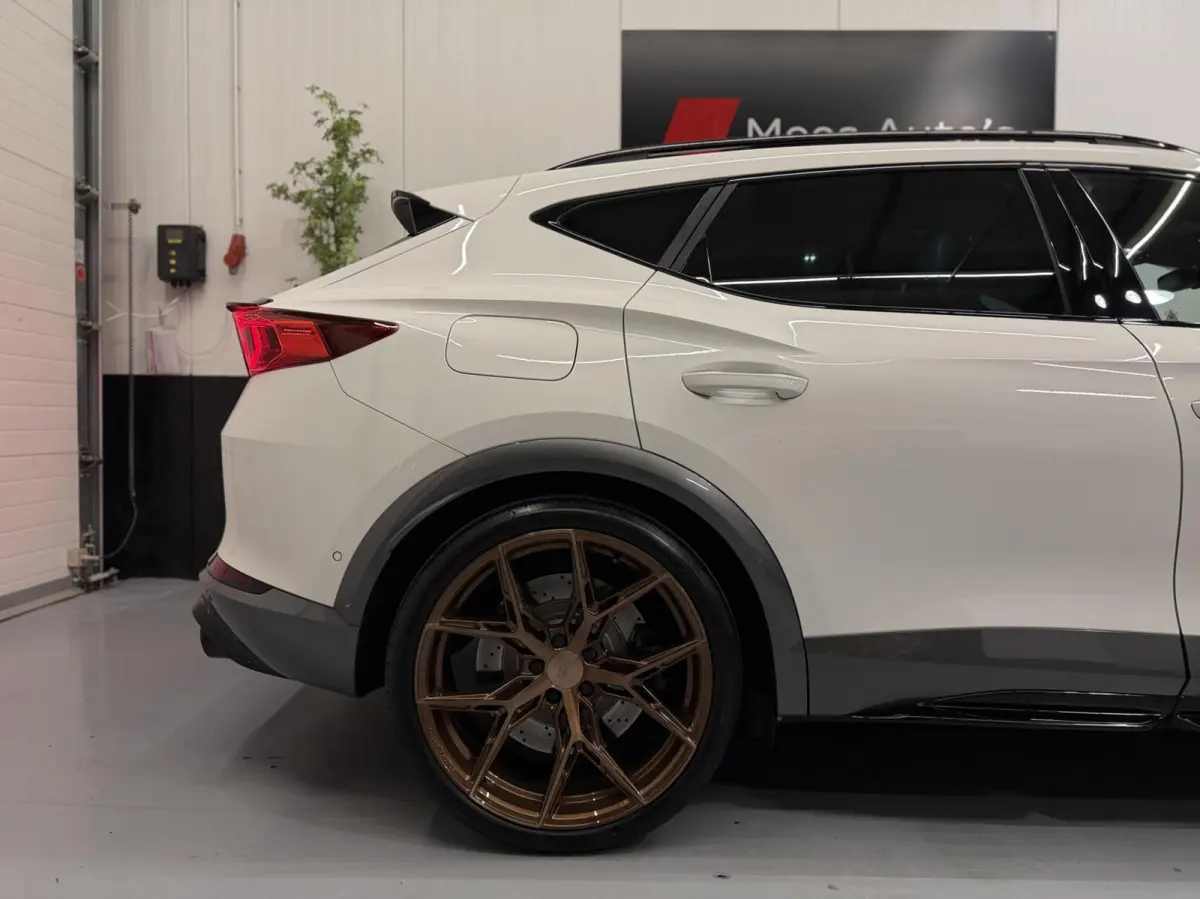 VZ 2.0 TSI 4DRIVE 460PK|Pano|Leer|Custom|20"