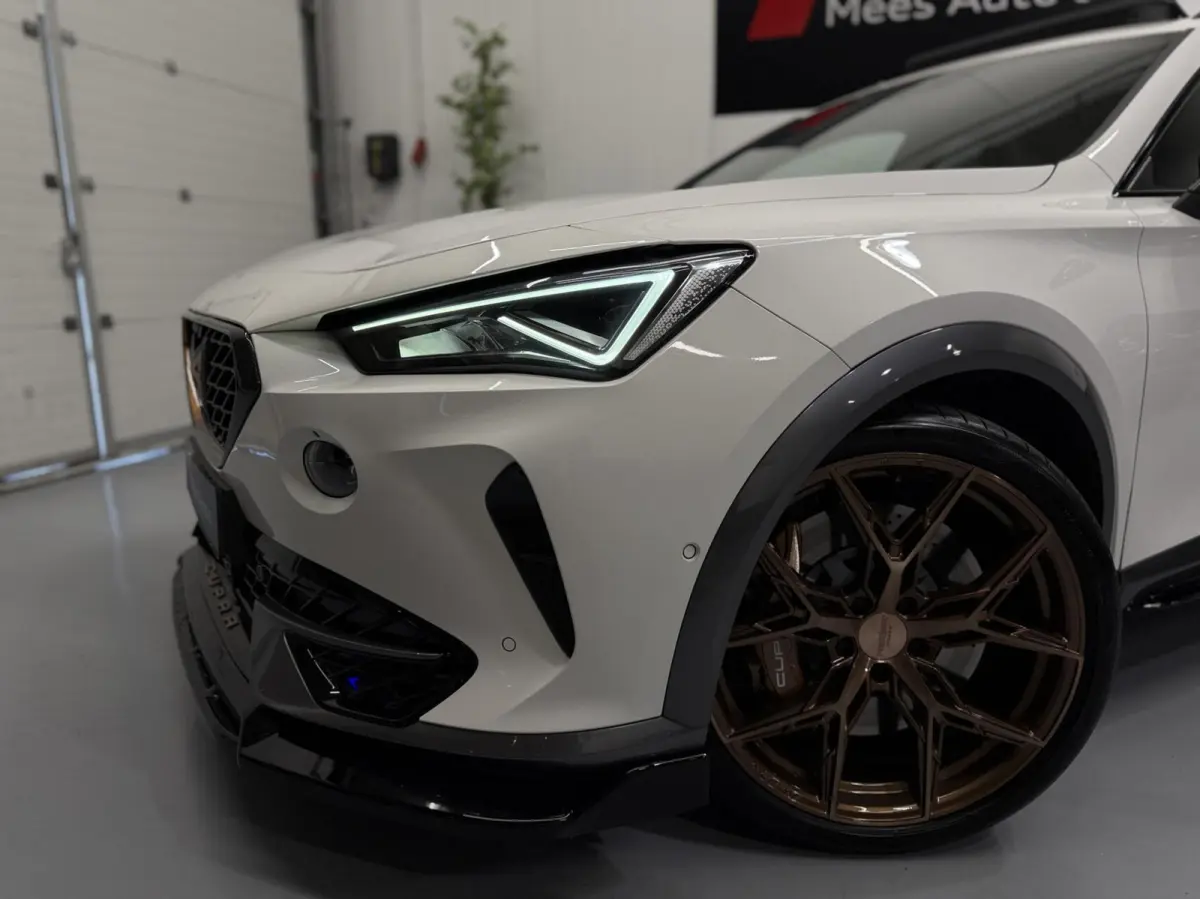 VZ 2.0 TSI 4DRIVE 460PK|Pano|Leer|Custom|20"
