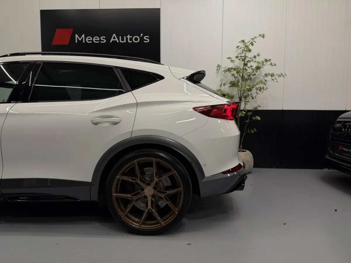 VZ 2.0 TSI 4DRIVE 460PK|Pano|Leer|Custom|20"