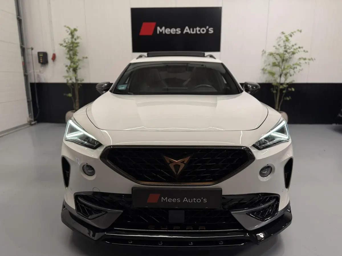 VZ 2.0 TSI 4DRIVE 460PK|Pano|Leer|Custom|20"