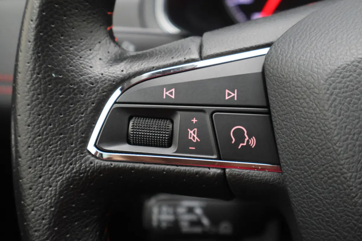 1.0 TSI FR Business Intense Panoramadak, Camera, ACC, Beats Audio, Apple CarPlay, 18"