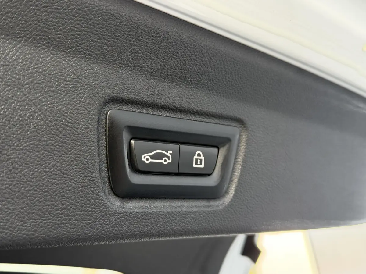 eDrive40 High Executive 84 kWh - Harman/Kardon - Leer
