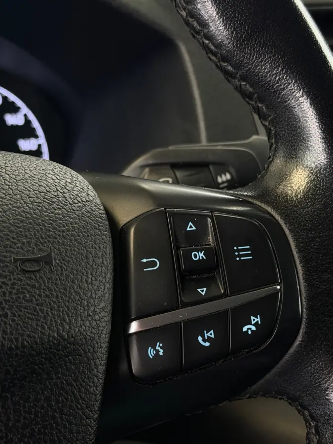 340 1.0 EcoBoost L1H1 PHEV Trend