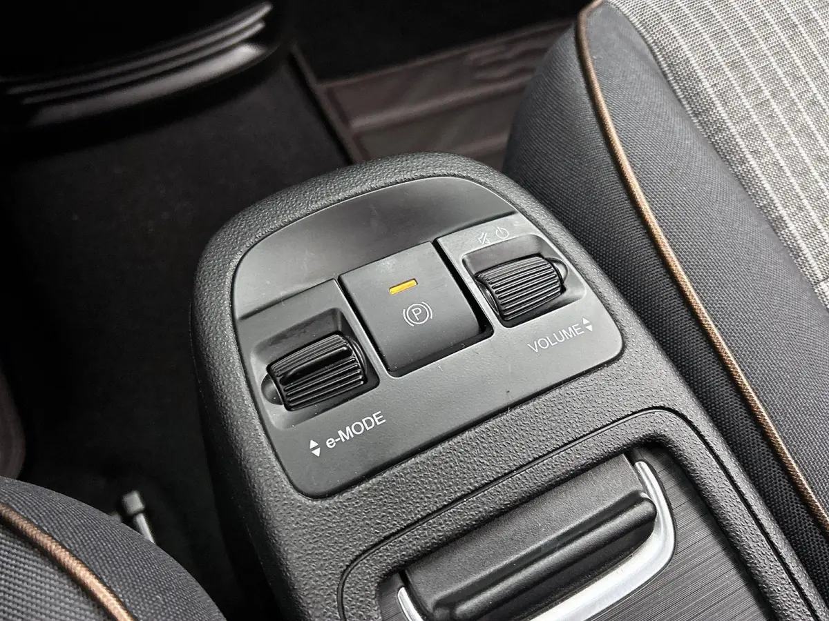Icon 42 kWh | SOH: 95,29% | Apple Carplay/Android Auto | Stoelverwarming | Parkeersensoren