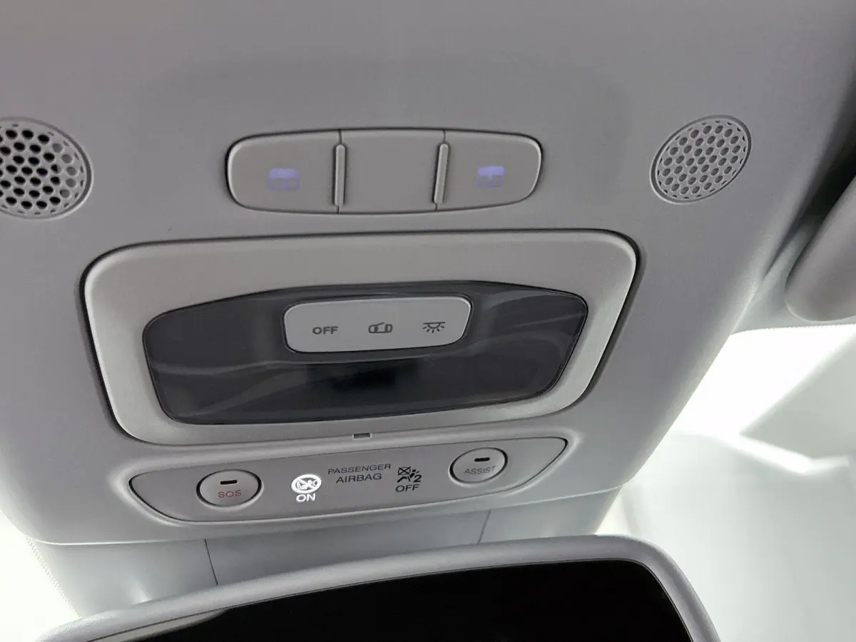 Icon 42 kWh | SOH: 95,29% | Apple Carplay/Android Auto | Stoelverwarming | Parkeersensoren