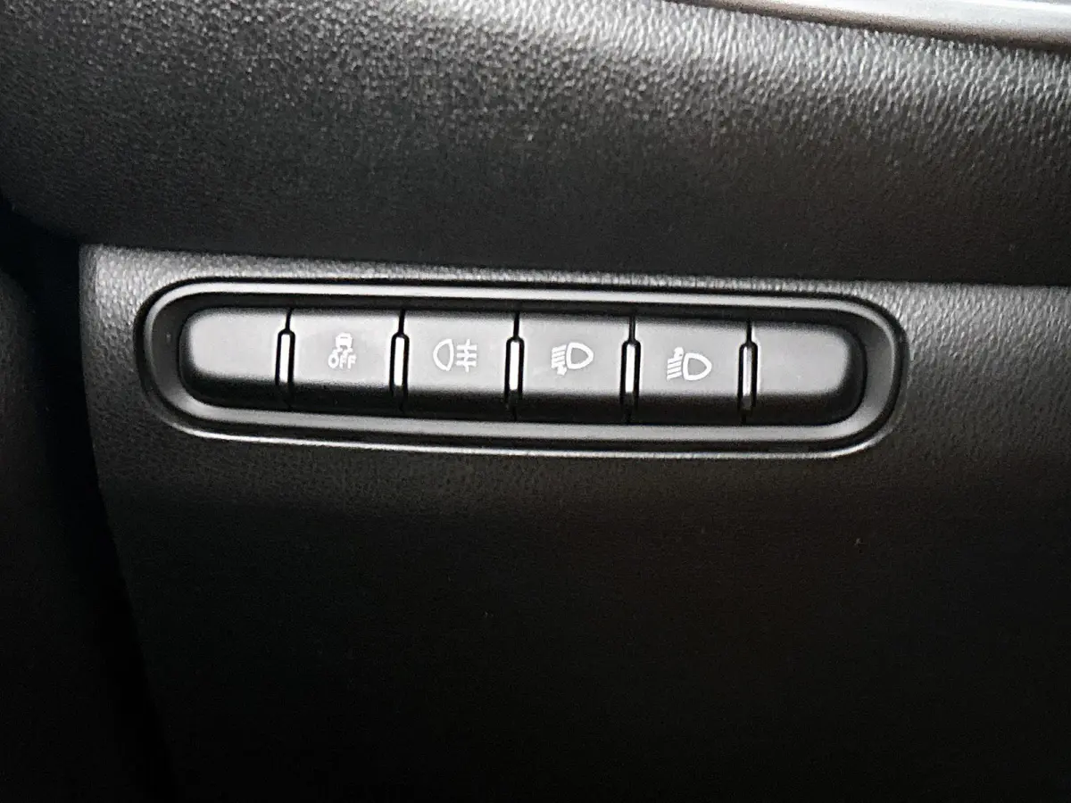 Icon 42 kWh | SOH: 95,29% | Apple Carplay/Android Auto | Stoelverwarming | Parkeersensoren