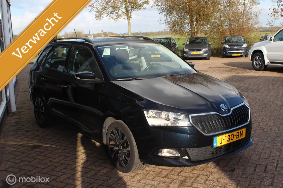 1.0 TSI Bsns Edition Airco/Cruise/Carplay