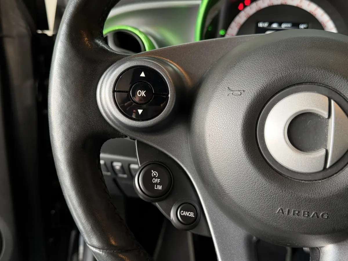 Brabus electric drive prime 18 kWh Pano | Carplay | Leder | JBL | Clima |
