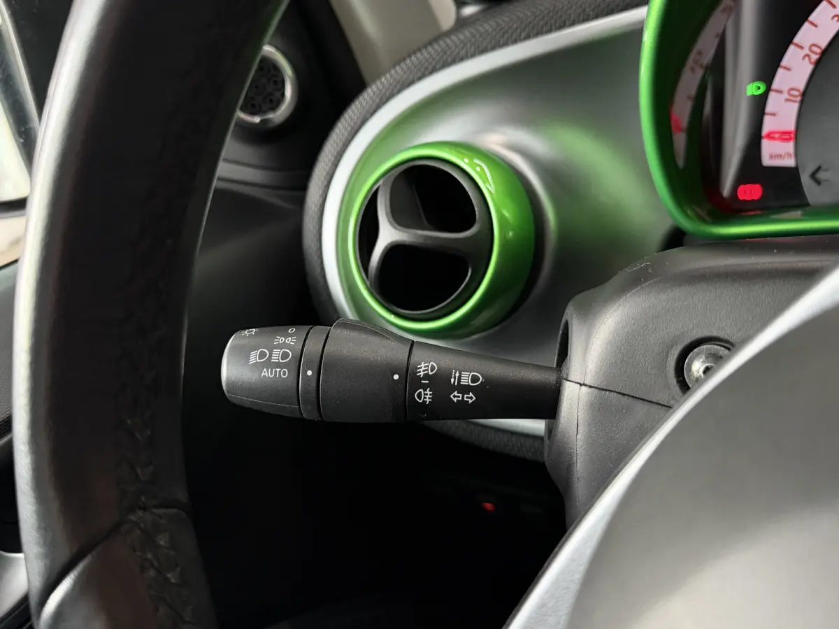 Brabus electric drive prime 18 kWh Pano | Carplay | Leder | JBL | Clima |