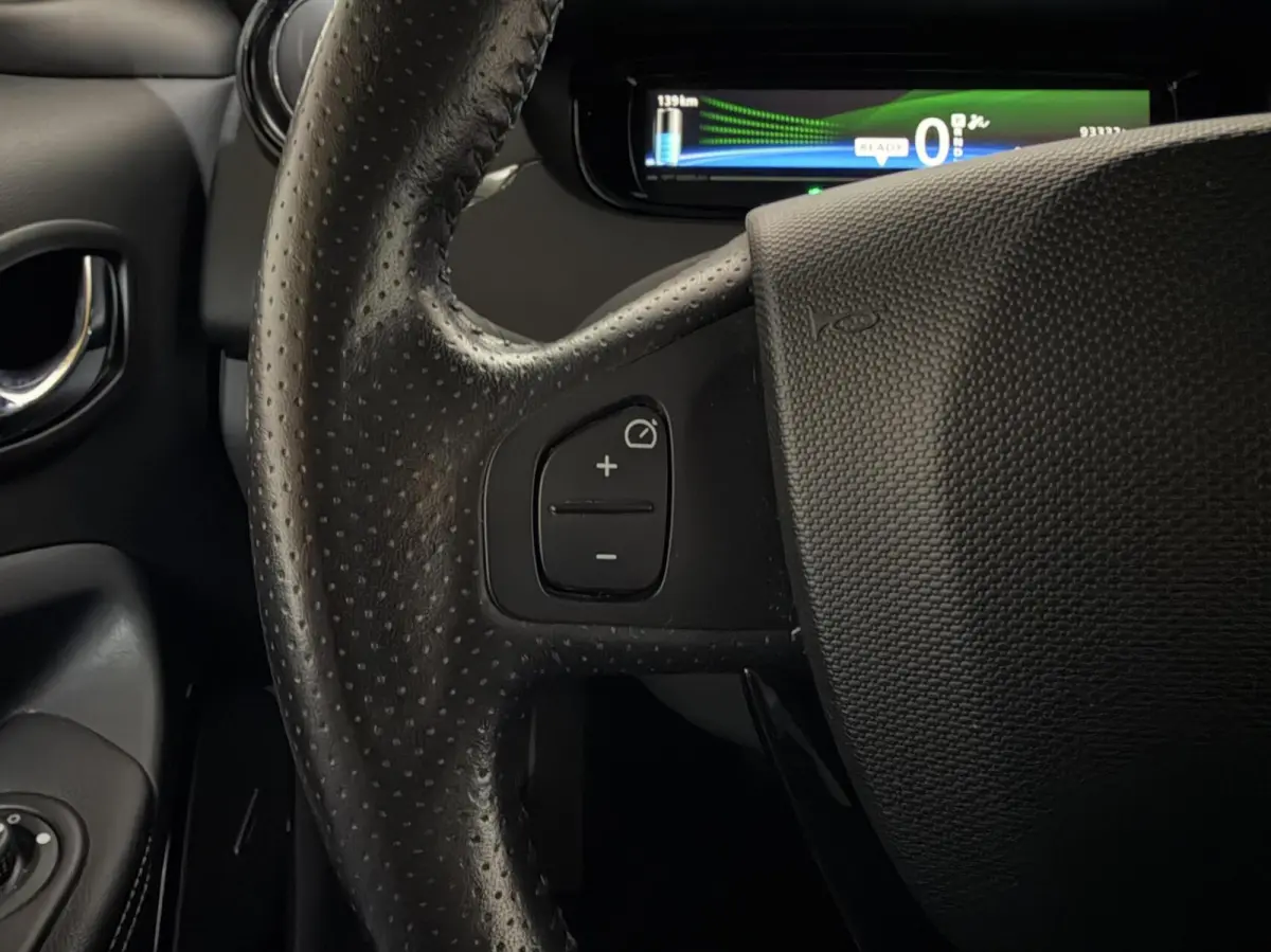 R110 Iconic 41 kWh Koopaccu Bose Camera Navi NAP