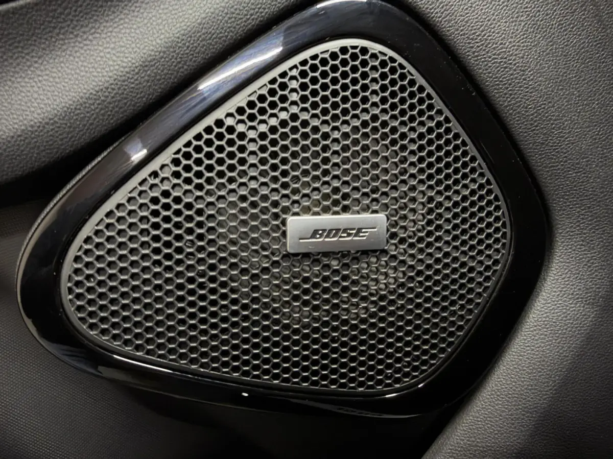 R110 Iconic 41 kWh Koopaccu Bose Camera Navi NAP