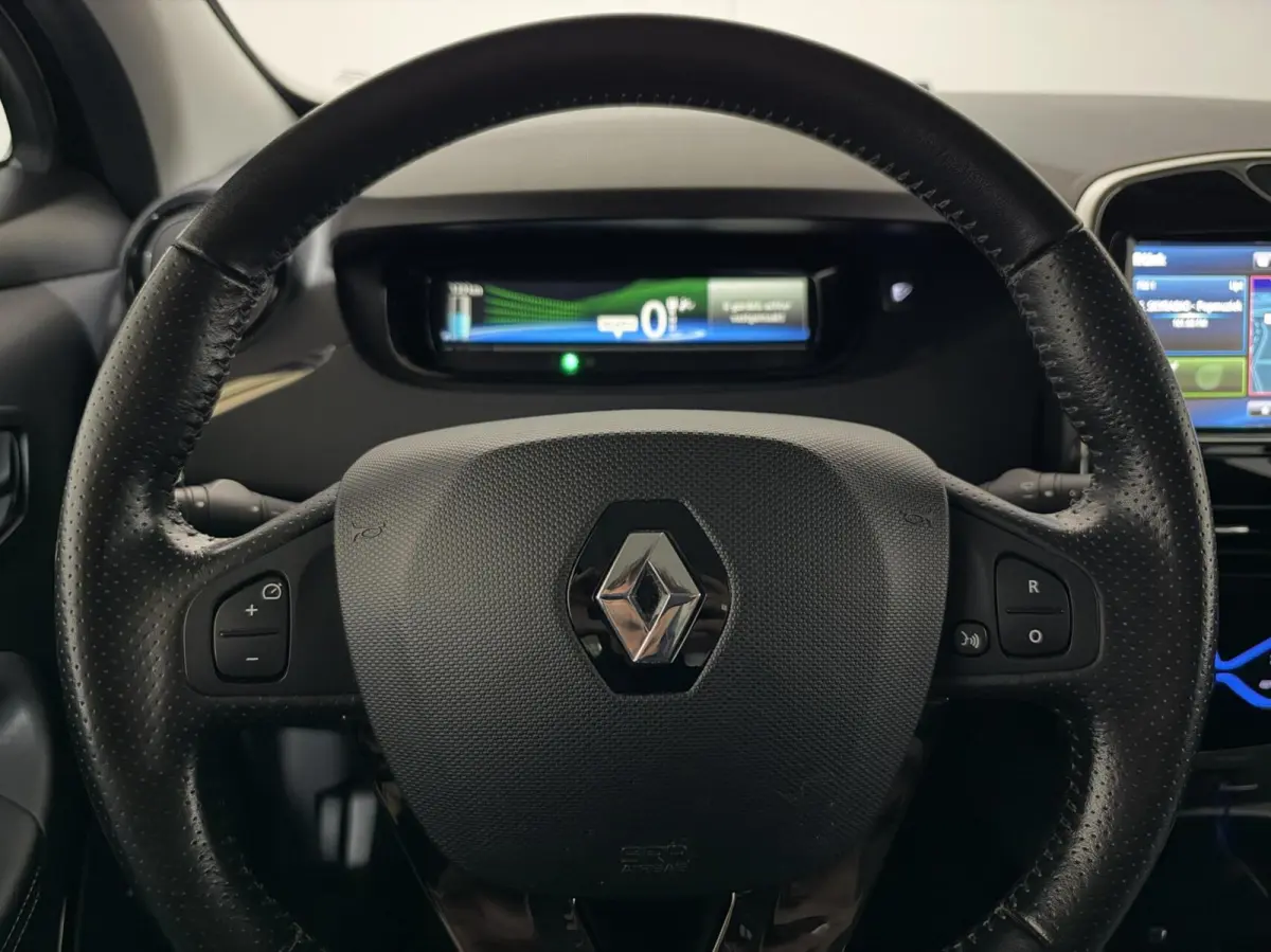 R110 Iconic 41 kWh Koopaccu Bose Camera Navi NAP