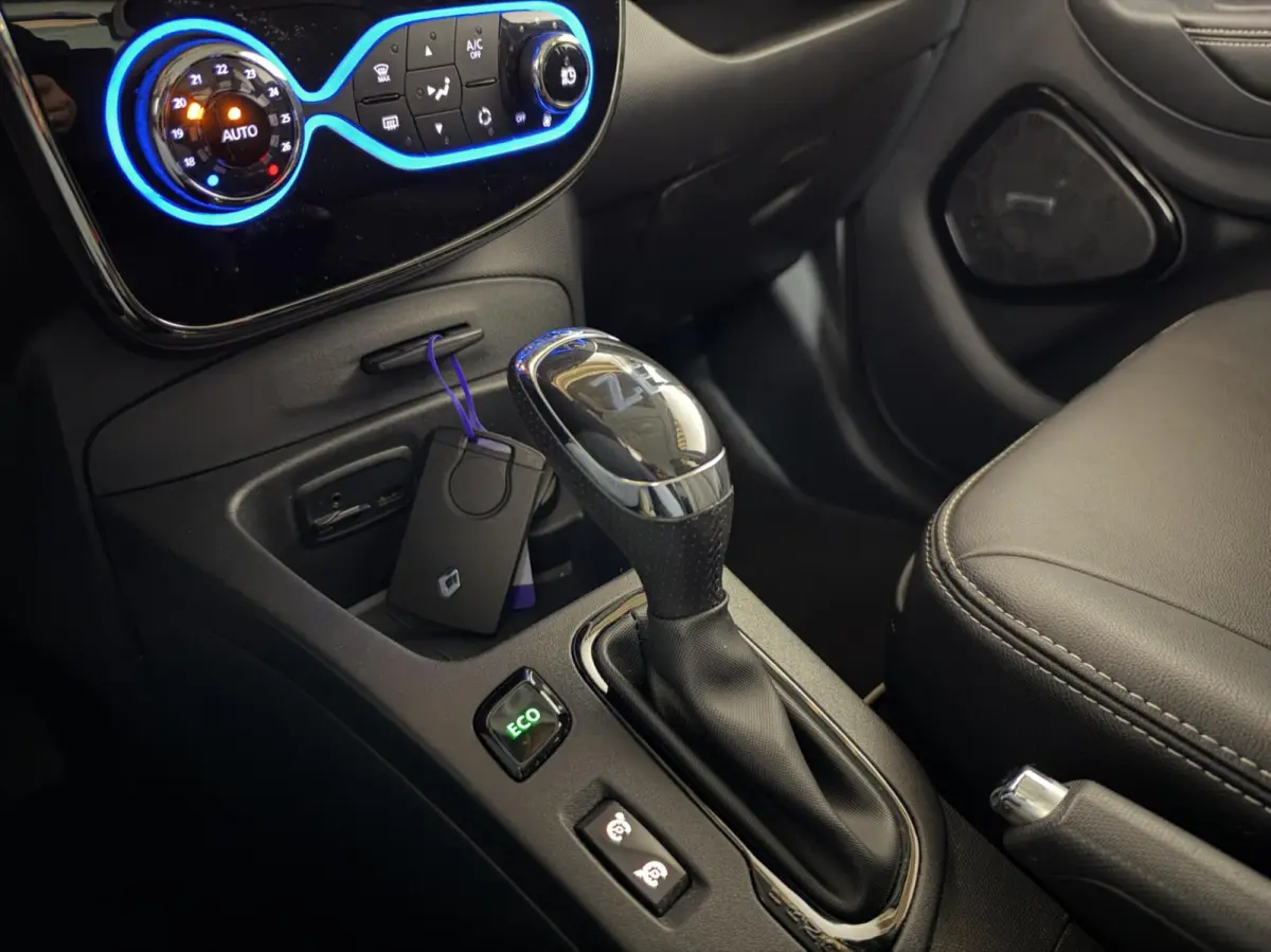 R110 Iconic 41 kWh Koopaccu Bose Camera Navi NAP