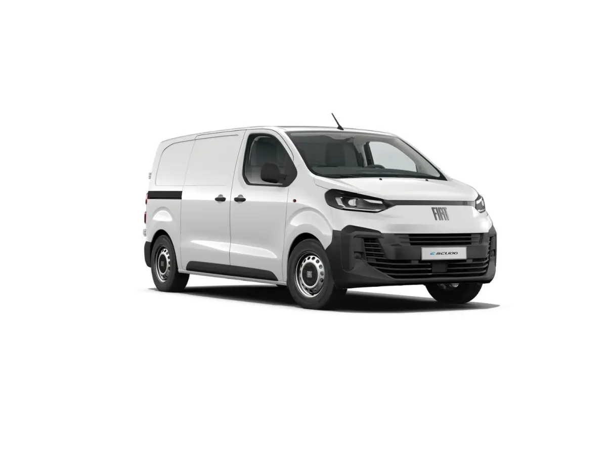 Professional Standaard | ABS met noodremassistentie / ESP en Hill Start Assist | Automatisch inschakelende verlichting en ruitenwissers | Cruise control met snelheidsbegrenzer (bediening ach