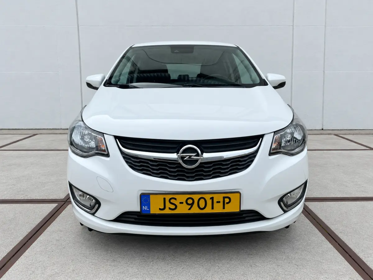 1.0 EcoFLEX Innovation Clima - Lm velgen - NAP - Carplay - privacy glass - isofix - parkeersensoren