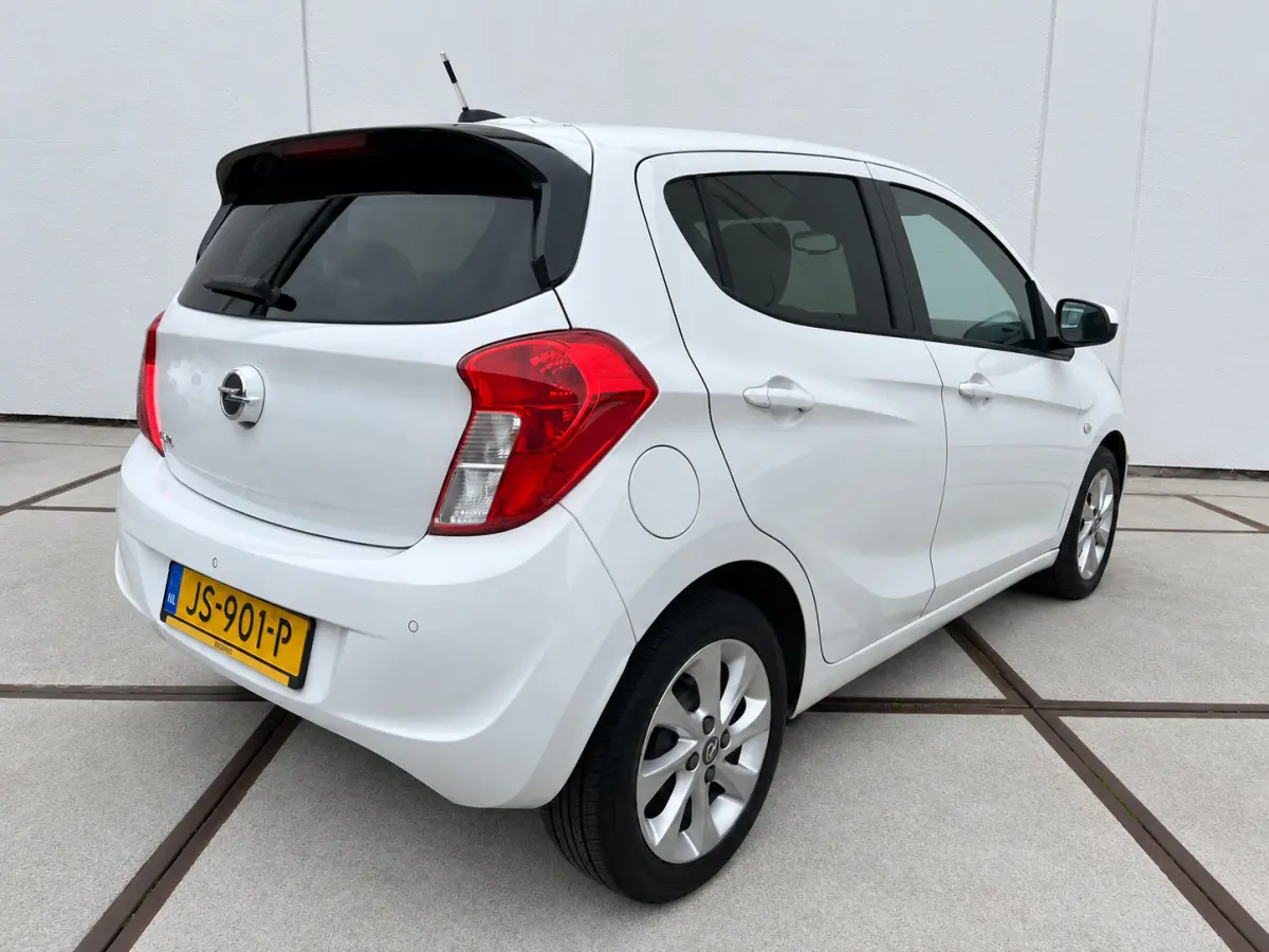 1.0 EcoFLEX Innovation Clima - Lm velgen - NAP - Carplay - privacy glass - isofix - parkeersensoren