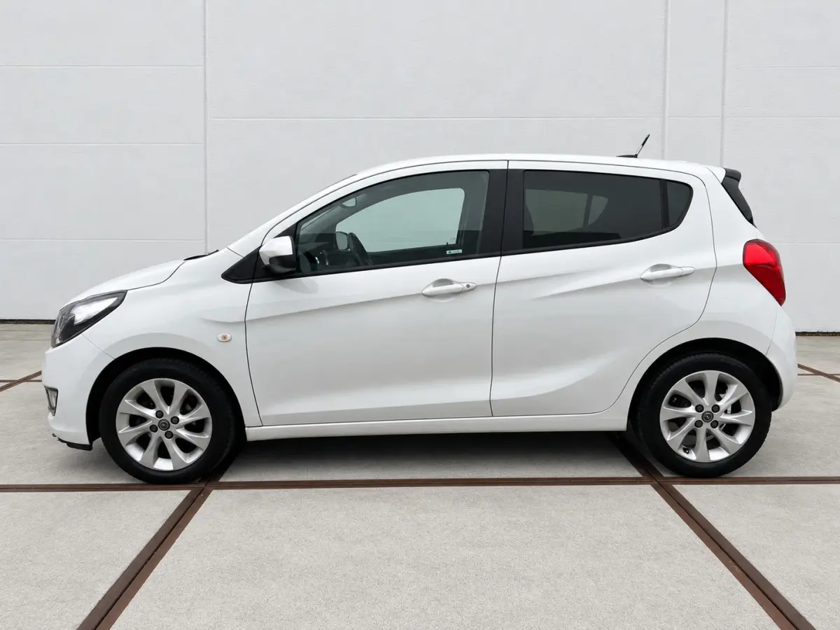 1.0 EcoFLEX Innovation Clima - Lm velgen - NAP - Carplay - privacy glass - isofix - parkeersensoren