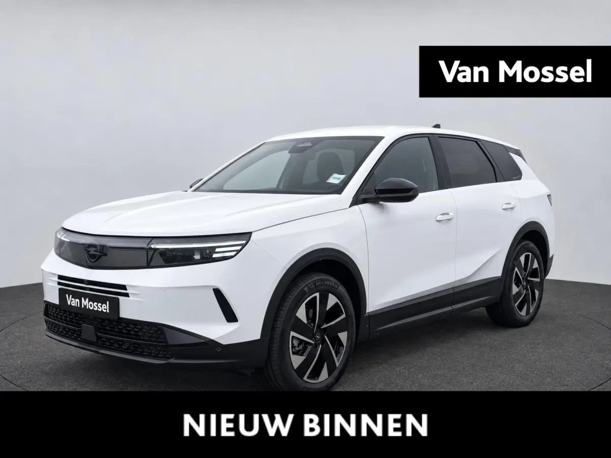 1.2 Turbo Hybrid Business Edition Automaat | Navi | elektr klep | LMV | Cruise | Apple CarPlay/Android Auto | Camera