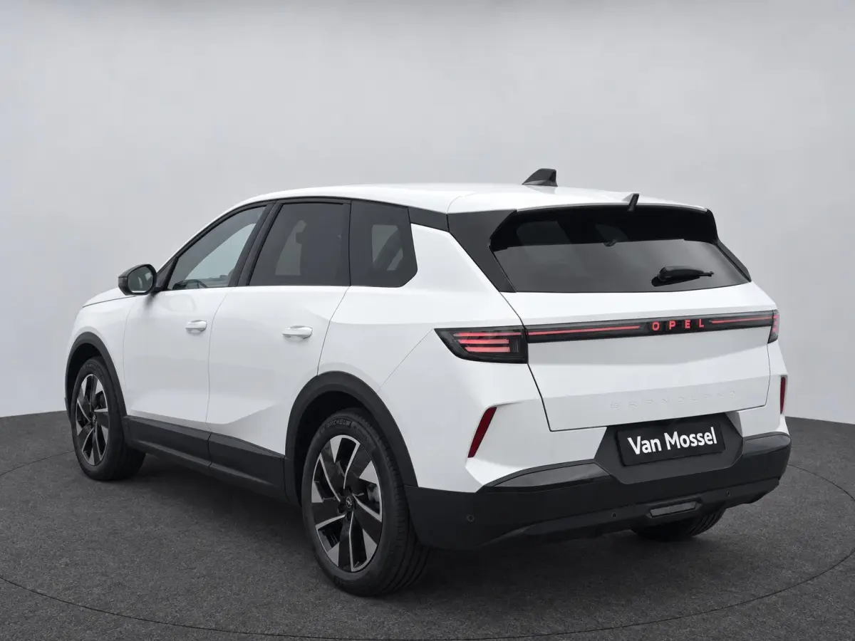 1.2 Turbo Hybrid Business Edition Automaat | Navi | elektr klep | LMV | Cruise | Apple CarPlay/Android Auto | Camera