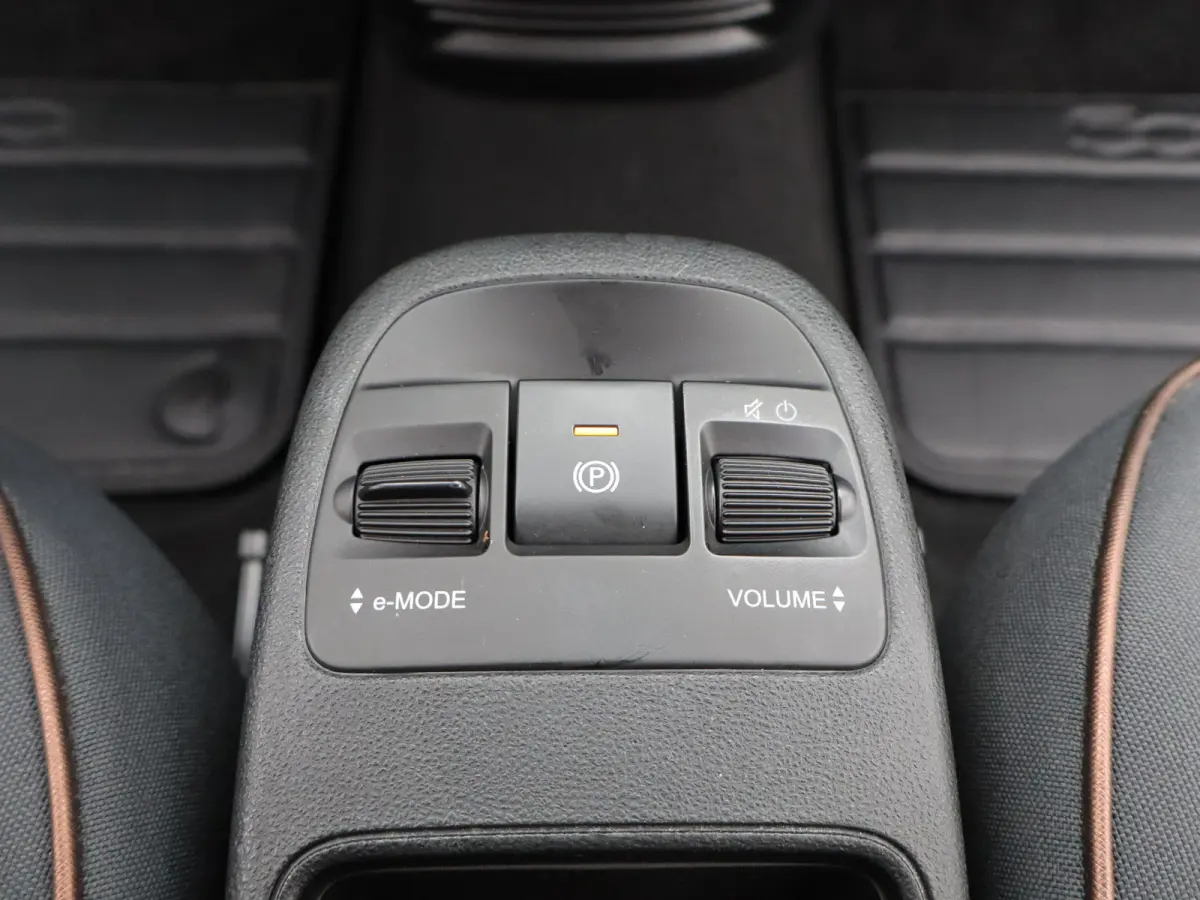 Icon 42 kWh 93,7% SOH | 16" Lichtmetalen Velgen | Apple Carplay/Android Auto | Cruise Control | Climate Contro