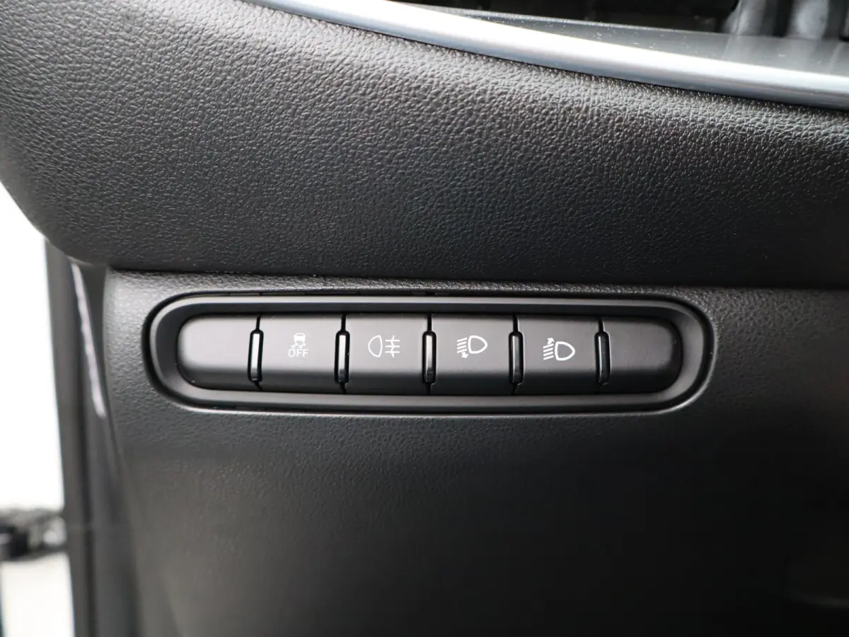 Icon 42 kWh 93,7% SOH | 16" Lichtmetalen Velgen | Apple Carplay/Android Auto | Cruise Control | Climate Contro