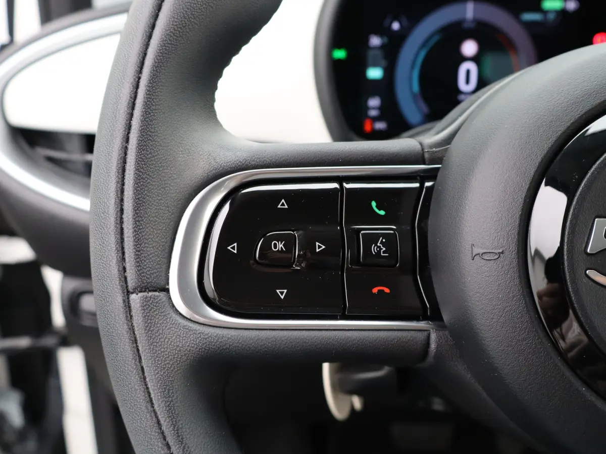 Icon 42 kWh 93,7% SOH | 16" Lichtmetalen Velgen | Apple Carplay/Android Auto | Cruise Control | Climate Contro