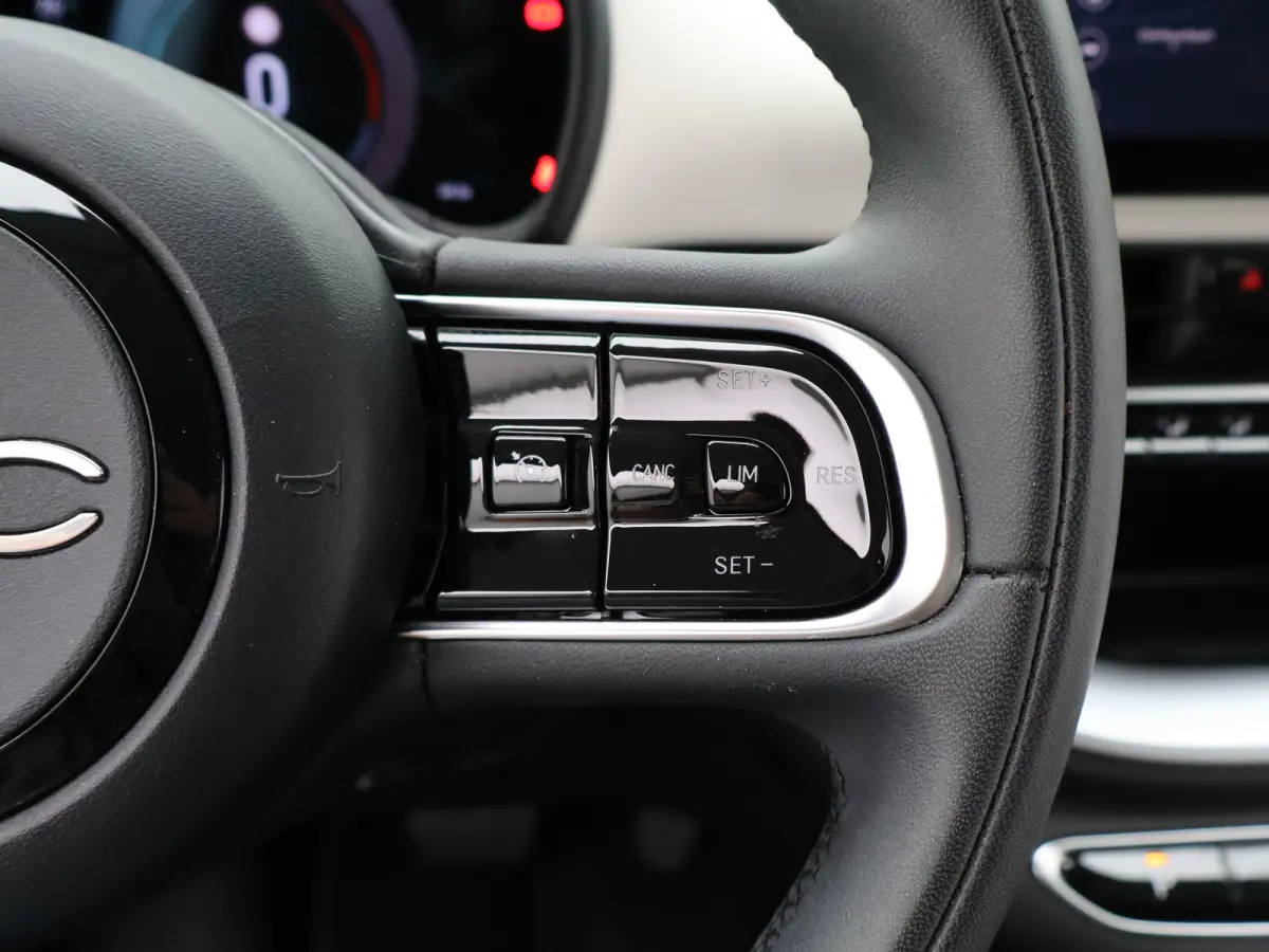Icon 42 kWh 93,7% SOH | 16" Lichtmetalen Velgen | Apple Carplay/Android Auto | Cruise Control | Climate Contro