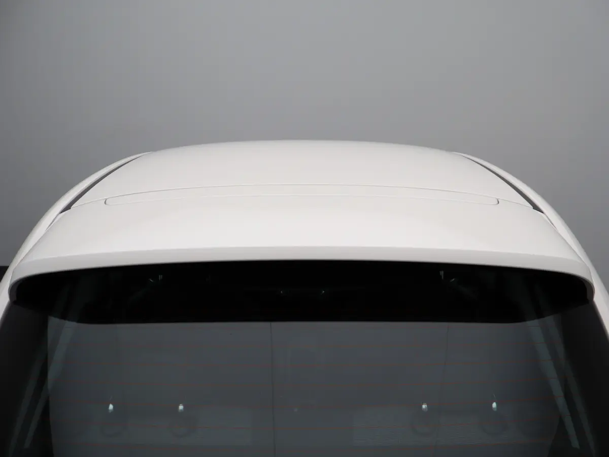 Icon 42 kWh 93,7% SOH | 16" Lichtmetalen Velgen | Apple Carplay/Android Auto | Cruise Control | Climate Contro