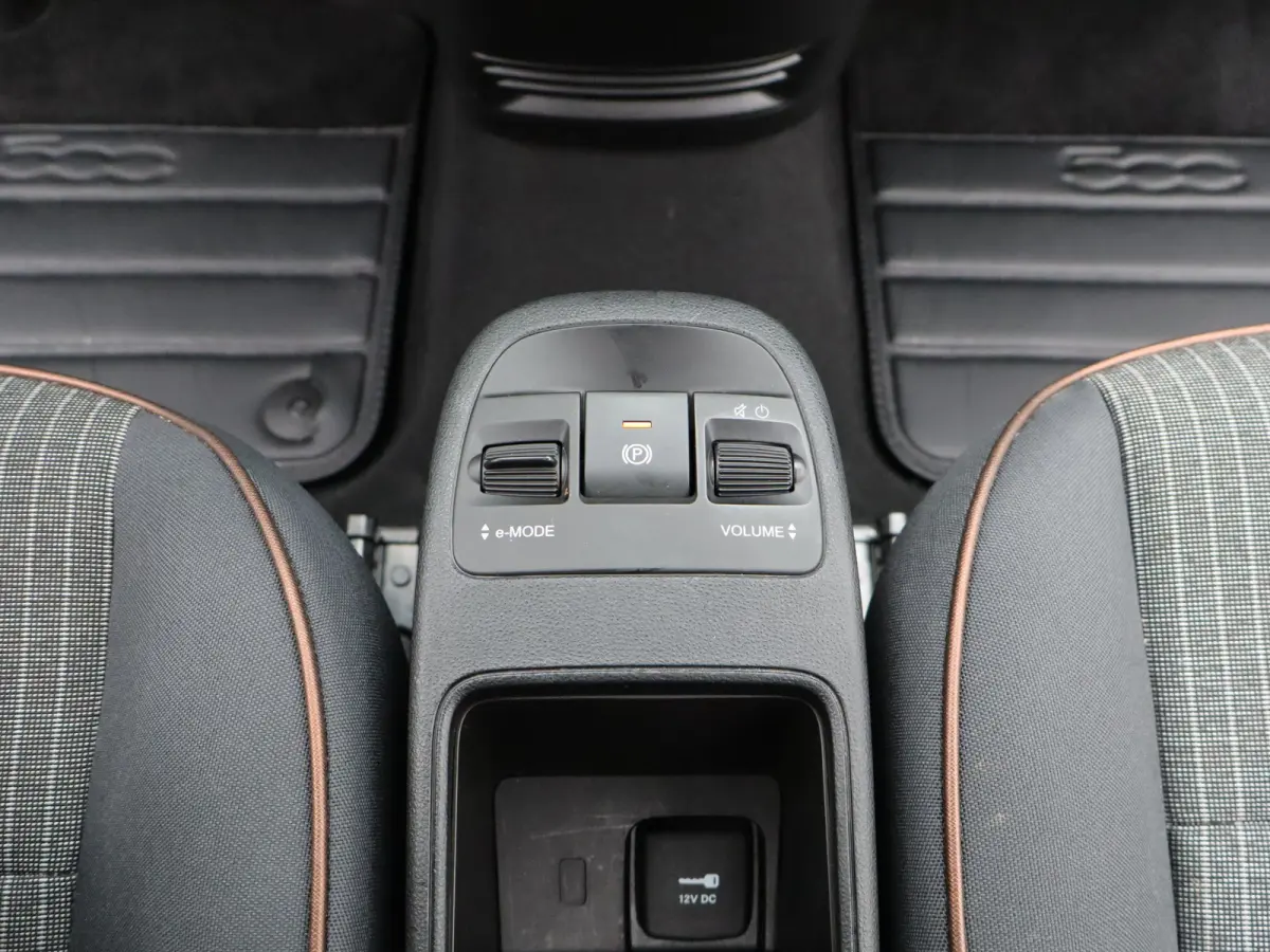 Icon 42 kWh 93,7% SOH | 16" Lichtmetalen Velgen | Apple Carplay/Android Auto | Cruise Control | Climate Contro