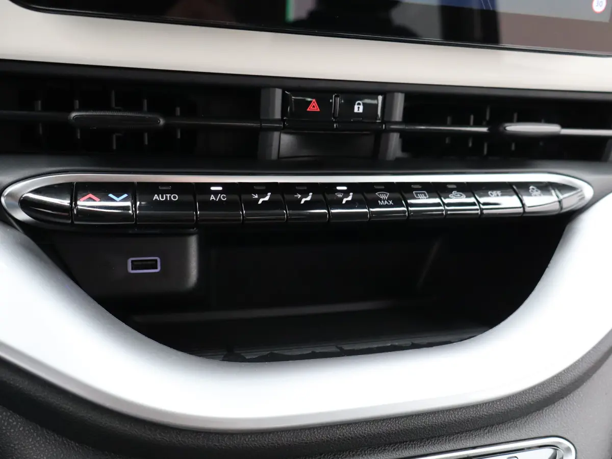 Icon 42 kWh 93,7% SOH | 16" Lichtmetalen Velgen | Apple Carplay/Android Auto | Cruise Control | Climate Contro