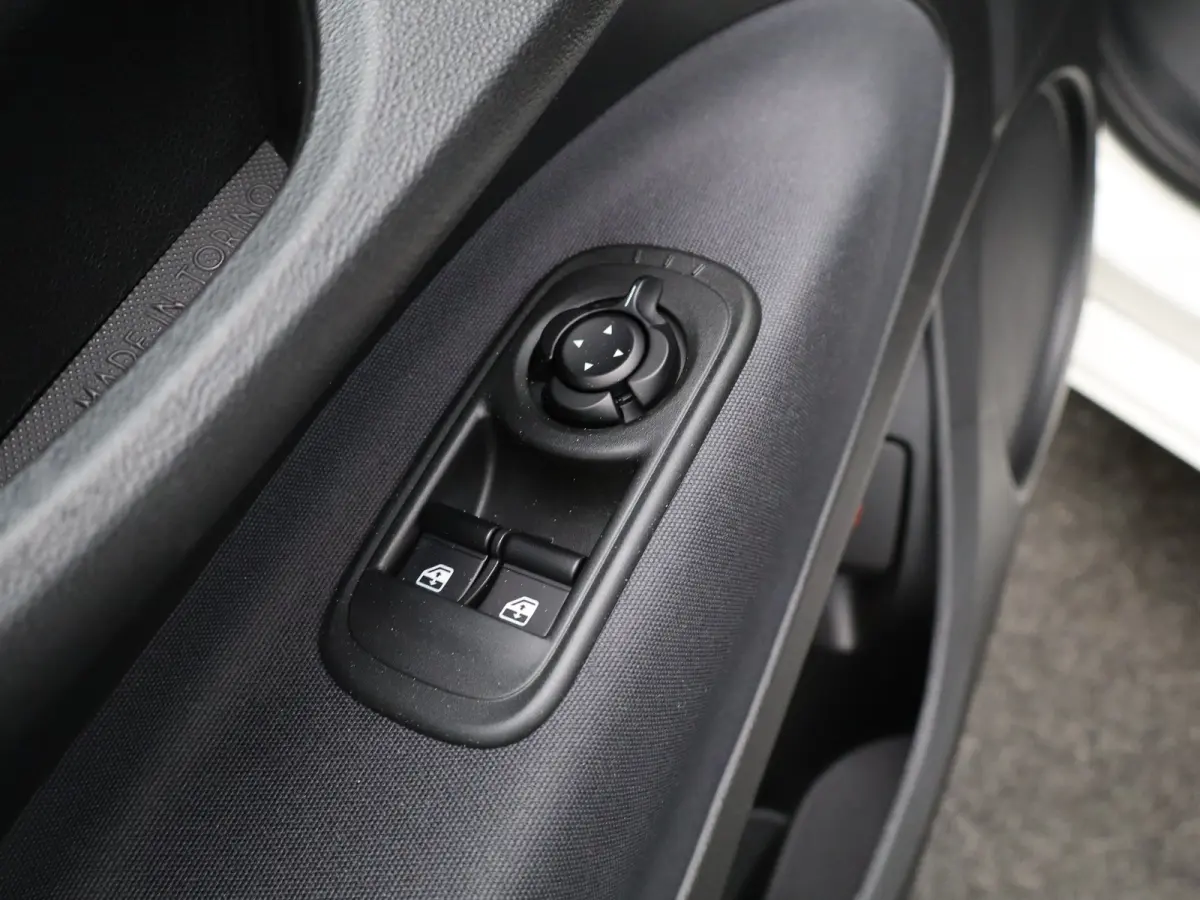 Icon 42 kWh 93,7% SOH | 16" Lichtmetalen Velgen | Apple Carplay/Android Auto | Cruise Control | Climate Contro